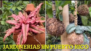 ¡VAMOS DE COMPRAS de PLANTAS a “JARDÍN MI CASITA” y “JARDIMAR”…ACOMPÁÑENME 🙋🏼‍♀️🪴💚🌿🌵S3E193 [upl. by Agrippina380]