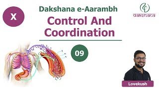 Dakshana  Aarambh  Class X  Biology  Control and Coordination  L09  Lovekush [upl. by Starkey41]