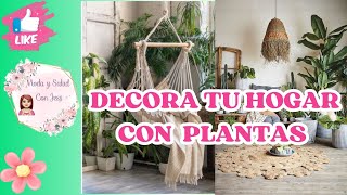 DECORA TU HOGAR CON PLANTAS ideas 2024 plantas hogar decoracion tendencias2024 [upl. by Fitz741]