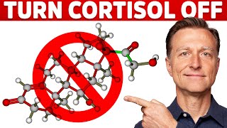 Why Its Hard To Turn Stress Cortisol Off – Dr Berg [upl. by Patterman]