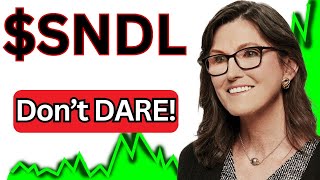 SNDL Stock sundial growers stock SNDL STOCK PREDICTIONS SNDL STOCK Analysis Sndl stock news today [upl. by Ahsla475]