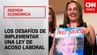 Ley Karin Los desafíos de implementar una legislación de acoso laboral [upl. by Einner]