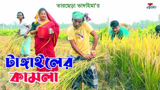 টাঙ্গাইলের কামলা  তারছেরা ভাদাইমা । Tangailer Kamla । Tarchera Vadaima  Bangla Koutuk 2024 [upl. by Bibbie]