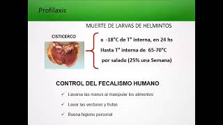 TEÓRICO 12  Infecciones tisulares por cestodes trematodes y nematodes [upl. by Aeret]