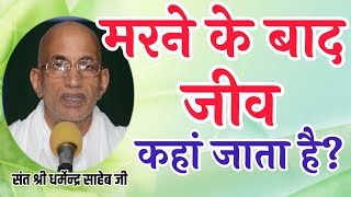 मरने के बाद जीव कहां जाता है  Sant Shri Dharmendra Saheb Ji  Marne ke bad aatma kahan jaati hai [upl. by Kiyohara787]