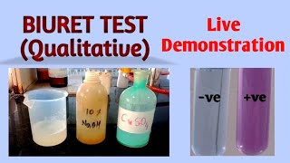 Biuret test  Biochemistry [upl. by Beatty574]