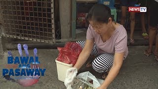 Bawal ang Pasaway Potrero Malabon paano tinutugunan ang problema sa basura [upl. by Enyahc]