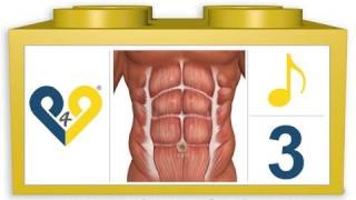 Abdominaux en 8 minutes  Niveau 3  P4P Music [upl. by Rudd306]