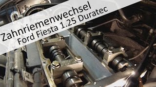 Zahnriemen Ford Fiesta Duratec 125l SNJB wechseln ford Zahnriemenwechsel [upl. by Cori542]