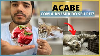 USE ESSES 4 ALIMENTOS CONTRA ANEMIA O QUE DAR PARA CACHORRO OU GATO COM ANEMIA [upl. by Minabe482]