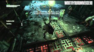 Batman Arkham City Mr Freezes Wife Location Finding Nora [upl. by Nagiam41]