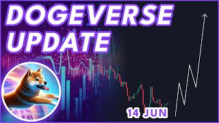 WILL DOGEVERSE RECOVER🚨 Dogeverse Presale Update [upl. by Raphaela309]