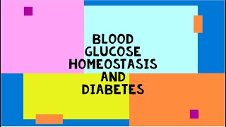 Blood Glucose Homeostasis amp Diabetes [upl. by Atterehs]