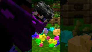 ¿PORQUE NO HAY POLLOS DE COLORES minecraft minecraftshorts humor [upl. by Heurlin]