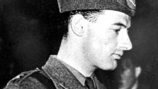 Raoul Wallenberg Tribute [upl. by Christina]