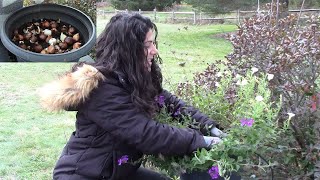 Planting Spring Blooming Bulbs in Containers 🌷✨ How to Plant Bulbs in Pots [upl. by Guevara215]