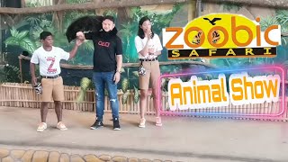 Animal Show Zoobic Safari Part2 asmr satisfying safari animalshow show animals zoobicsafari [upl. by Chip257]