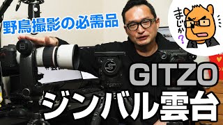 野鳥撮影に良き！フルードジンバル雲台 GHFG1（ジッツオ）を徹底解説！ [upl. by Nalhsa492]