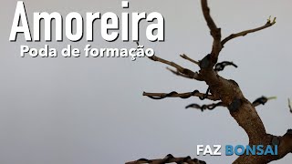 Amoreira  Poda de formação [upl. by Aoht]