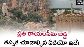 Greatness Of Rayalaseema And Its History  రాయలసీమ గొప్పతనం మరియు అద్భుతమైన చరిత్ర  Telugu Panda [upl. by Merchant]