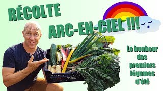 Du goût des couleurs Vive le potager [upl. by Anirahtak]