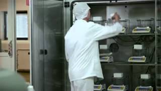 Emulsifiers stabilizers amp knowhow to put to work  Ice cream [upl. by Anerak373]