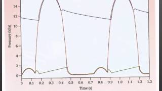 AS level G10 Control of the cardiac cycle Ms Cooper [upl. by Asirram573]