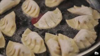 Gyozas [upl. by Knipe]