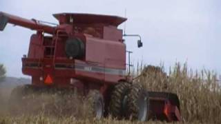 Case IH 2188 combine [upl. by Pillihp47]