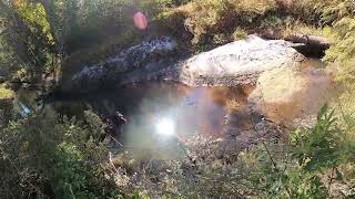 Tenkara Fly Fishing at the Creek For Some Lethargic Fish [upl. by Nasaj948]