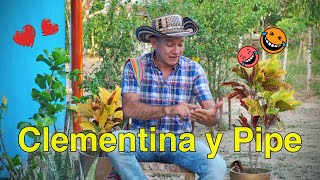 Clementina y Pipe  Tio Pello cuento [upl. by Ittocs]