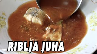 RIBLJA JUHA za prave gurmane l Fish Soup FiveStar Recipe [upl. by Grindle]