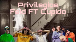 REACCIÓN a Feid Cupido  Privilegios [upl. by Oalsecnew]