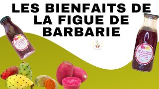 LES BIENFAITS DE LA FIGUE DE BARBARIE jusdefiguedebarbarienouveauproduitetounature [upl. by Kcirrej972]