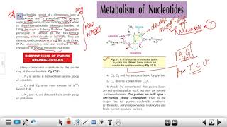 CSIR PYQs Biosynthesis of Purine  Metabolism of Nucleotide  Denovo amp Salvage Pathway  Inhibitors [upl. by Eolcin]