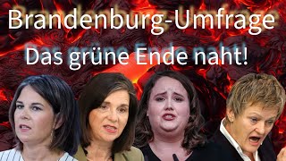 BrandenburgUmfrage Grüne vor der VOLLKATASTROPHE [upl. by Mohkos]