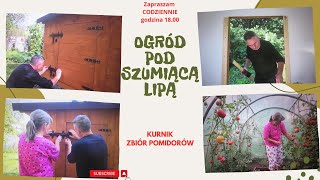 Codzienne życie na wsi  Kurnik koniec prac przy budowie kurnika zbieram pomidory [upl. by Ashien]