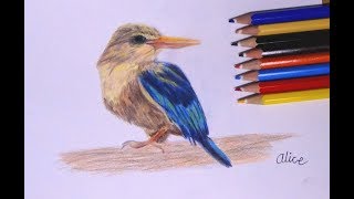 Staedtler colored pencils review  Staedtler vs Prismacolor [upl. by Entroc411]