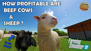 How Profitable Are Beef Cows amp Sheep  Farming Simulator 22 [upl. by Olracnaig]