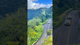 The Epic Drive Maui’s Road to Hana Adventure  Maui Hawaii [upl. by Beau]