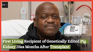 First Living Recipient of Genetically Edited Pig Kidney Dies Months After Transplant  US News [upl. by Eastlake72]