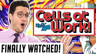 Real Doctor Reacts to CELLS AT WORK Hataraku Saibō [upl. by Kaila]