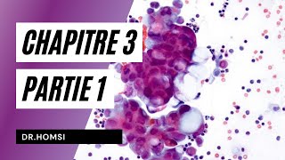 Cytologie  Chapitre 3 P3  Dr Homsi [upl. by Hutchison]