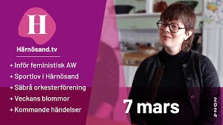 Härnösandtv  7 mars 2024 [upl. by Tomkins]