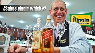 ¿Sabes elegir whisky [upl. by Enirehtac]