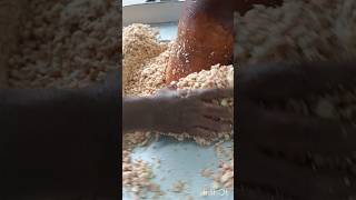 Groundnut oil processing [upl. by Hagar416]