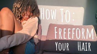 How To Start Freeform Locs [upl. by Anul]