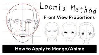 Loomis Method  Proportions of the Head Explained  Front View [upl. by Lorenzo508]