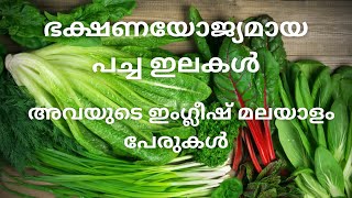 Leafy vegetables Malayalam names and English names [upl. by Michele]