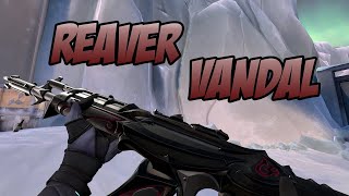 Reaver Vandal Prime Vandal Full Upgrade With Finisher amp Galleria Marshal Skin Showcase  VALORANT [upl. by Anewor]